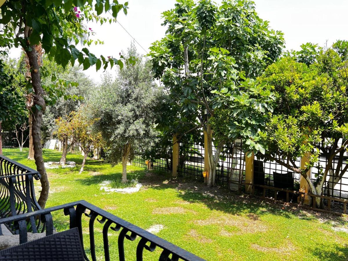 Han Boutique Hotel Sarigerme Exteriör bild